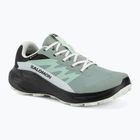 Dámske bežecké topánky Salomon Alphaglide GTX green milieu/asphalt