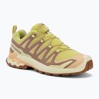 Dámske bežecké topánky Salomon XA Pro 3D V9 endive/burro/almond cream
