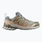 Pánske bežecké topánky Salomon XA Pro 3D V9 GTX sedona sage/brilliant olive