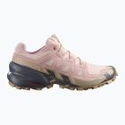 Dámske bežecké topánky Salomon Speedcross 6 tapioca/shadow gray