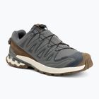 Pánske bežecké topánky Salomon XA Pro 3D V9 GTX Lifelong sedona sage/coyote brown