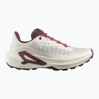 Dámske bežecké topánky Salomon Genesis 2 vanilla ice/huckleberry