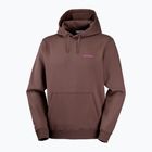 Pánska bežecká mikina Salomon Shortney Hoodie shopping bag