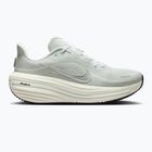 Dámske bežecké topánky Nike Winflo 12 off white/barely green/metallic silver