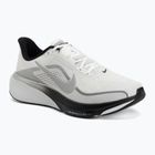 Pánske bežecké topánky Nike Pegasus 42 summit white/metallic silver-photon dust