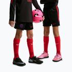 Detské futbalové šortky Nike Paris Saint-Germain Strike black/hyper royal/global red/global red