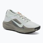 Pánske bežecké topánky Nike ACG Pegasus Trail GORE-TEX Light Silver/Light Army/Light Silver