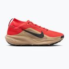 Pánske bežecké topánky Nike ACG Pegasus Trail GORE-TEX Light Crimson/Linen/Black