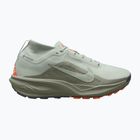 Pánske bežecké topánky Nike ACG Pegasus Trail GORE-TEX Light Silver/Light Army/Light Silver