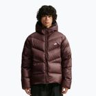 Pánska páperová bunda Nike Windrunner light chocolate/light chocolate/white