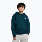 Detská mikina New Balance Brush Back Small Logo Hoodie medusa green