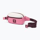 Ľadvinka Columbia Trail Traveler Hip sea salt/rosette/moonvista