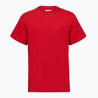 Pánske tričko Columbia CSC Basic Logo Back Tee mountain red/linework c badge