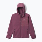 Detská softshellová bunda Columbia Ascender Hooded Softshell antique mauve
