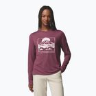 Dámske tričko longsleeve Columbia Parsons Point LS Graphic Tee antique mauve heather/all terrain