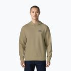 Pánska mikina Patagonia Daily Hoody weathered stone