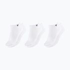 Ponožky Tecnifibre Low-Cut 3 pairs white/marine