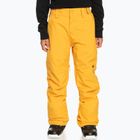 Detské snowboardové nohavice Quiksilver Estate Youth mineral yellow