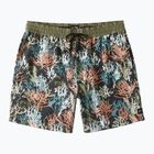 Pánske plavecké šortky Billabong Coral Garden Layback multicolor