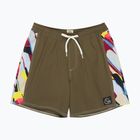 Pánske plavecké šortky Quiksilver Original Arch Volley 17" grape leaf