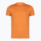 Pánske tenisové tričko Lacoste TH0004 blossom