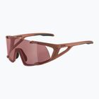 Slnečné okuliare Alpina Hawkeye Q-Lite brick matt/black red mirror