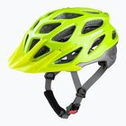 Cyklistická prilba Alpina Mythos 3.0 L.E. A9713346 be visible/silver gloss