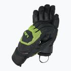 Pánske lyžiarske rukavice LEKI WCR Coach 3D black/ ice lemon