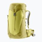 Turistický batoh dámsky Deuter AC Lite 22 l SL sprout/linden