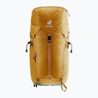 Turistický batoh Deuter Trail 24 l almond/deepsea