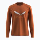 Pánske tričko longsleeve Salewa Solidlogo Dry bombay brown
