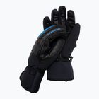 Pánske lyžiarske rukavice ZIENER Glyxus As black 801040.798