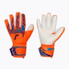 Brankárske rukavice Reusch Attrakt Freegel Advance shocking orange/blue