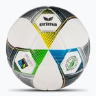 ERIMA Hybrid Eco futbalová lopta strieborná/navy veľkosť 5
