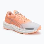 Dámske bežecké topánky Puma Velocity Nitro 2 melon/white/grey
