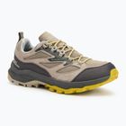 Pánske turistické topánky Jack Wolfskin Cyrox Vent Low chartreuse