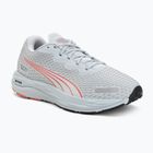 Dámske bežecké topánky Puma Velocity Nitro 2 GTX grey/salmon