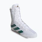 Boxerské topánky adidas Box Hog 4 cloud white/collegiate green/core black