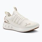 Bežecká obuv PUMA Softride Carson Fresh warm white/puma gold