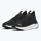Dámske bežecké topánky PUMA Softride Symmetre Fuzion puma black/puma gold