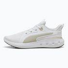 Bežecké topánky PUMA Softride Carson puma white/desert dust