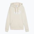 Dámska mikina PUMA ESS No. 1 Logo Hoodie TR alpine snow
