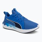 Bežecké topánky PUMA Softride Carson vivid blue/puma navy
