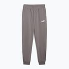 Pánske tepláky PUMA ESS No. 1 Logo Sweatpants TR CL liatina