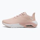 Dámska bežecká obuv PUMA X-Cell Nova CAT SL rose quartz/silver mist