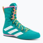 Boxerské topánky adidas Box Hog 4 turquoise