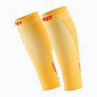 Pánske lýtkové kompresné návleky CEP Calf 5.0 marigold/burgundy