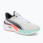 Pánske bežecké topánky PUMA Velocity Nitro 4 Hyrox puma white / mint