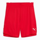 Pánske basketbalové šortky PUMA teamJAWS Starter for all time red