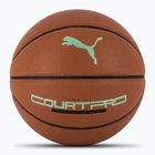 PUMA teamJAWS Court Pro Basketbalová koža hnedá/tmavý tieň veľkosť 7